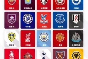 英超转会观察:金元狂潮背后套路多,阶层分化引人瞩目