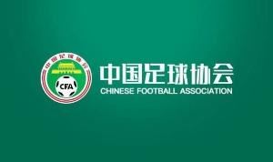 媒体人:足协现在发布公开选聘国足主帅公告,估计已有初步方案